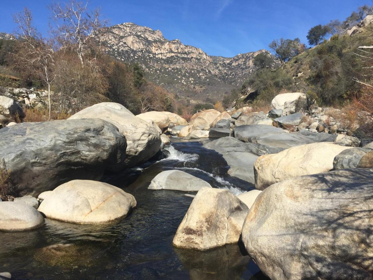 Buckeye Tree Lodge Three Rivers Bagian luar foto